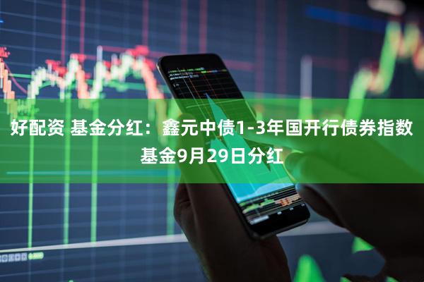好配资 基金分红：鑫元中债1-3年国开行债券指数基金9月29日分红