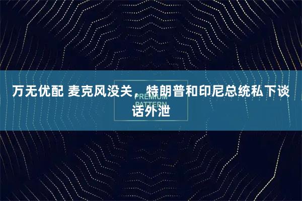 万无优配 麦克风没关，特朗普和印尼总统私下谈话外泄